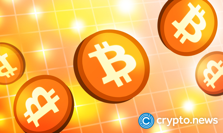 south-african-‘pick-n-pay’-teams-up-with-cryptoqr-to-accept-bitcoin