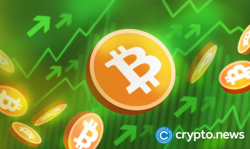 bitcoin-retail-holders-didn’t-mind-the-crypto-winter;-they-bought-more