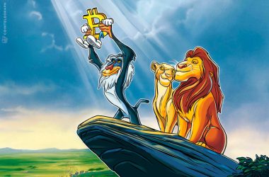 bitcoin-takes-‘lion’s-share’-as-institutional-inflows-hit-7-month-high