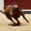 bitcoin’s-on-chain-metrics-are-flipping-bullish:-bitfinex-report