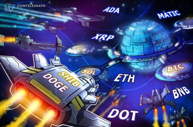price-analysis-3/10:-btc,-eth,-bnb,-xrp,-ada,-doge,-matic,-sol,-dot,-shib