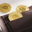 top-10,000-bitcoin-investors-control-one-third-of-the-supply