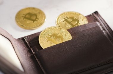 top-10,000-bitcoin-investors-control-one-third-of-the-supply