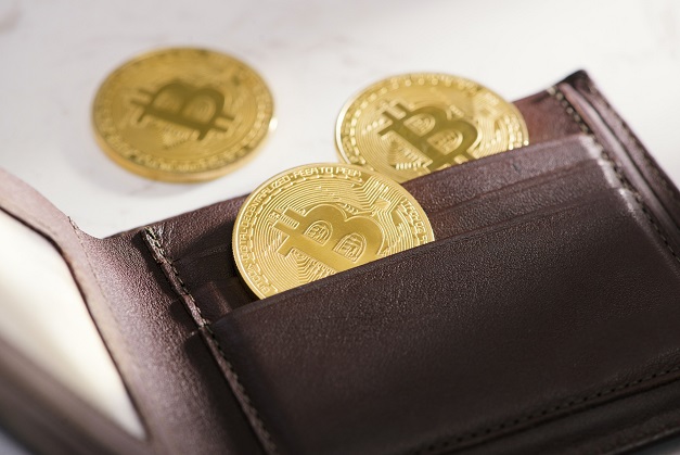 top-10,000-bitcoin-investors-control-one-third-of-the-supply
