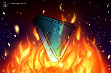 nft-investor-accidentally-burns-$135k-cryptopunk-trying-to-borrow-money