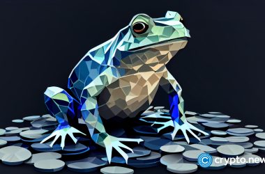 digitoads-outperforming-competition,-near-protocol-and-vechain-showing-signs-of-decline