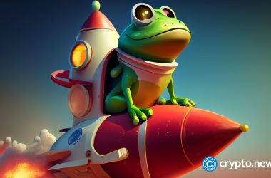 with-the-metacade-presale-gearing-up-to-launch,-investors-can-check-out-digitoads