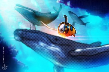 arbitrum-fud-spooks-the-market,-but-on-chain-data-shows-whales-accumulating-arb