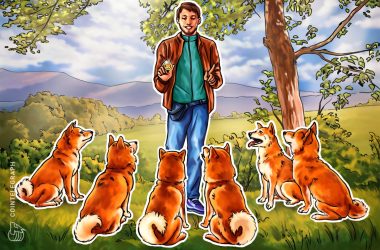 will-shiba-inu-tail-dogecoin’s-price-rally?