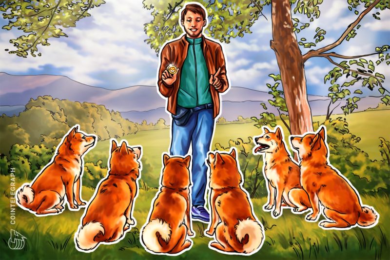 will-shiba-inu-tail-dogecoin’s-price-rally?