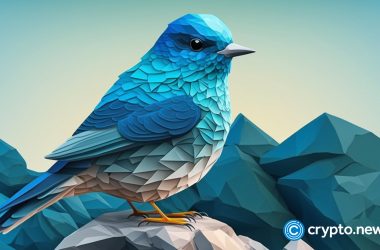 elon-musk’s-twitter-adds-support-for-crypto-and-stocks-trading 