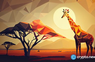 zambia-leads-africa-in-crypto-adoption
