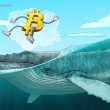 bitcoin-‘mega-whales’-send-btc-price-to-$30k-as-volatility-hits-crypto