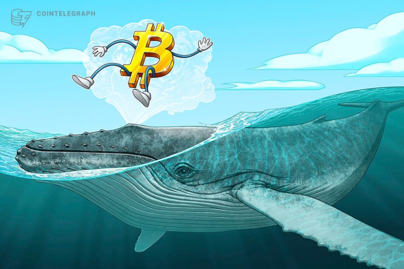 bitcoin-‘mega-whales’-send-btc-price-to-$30k-as-volatility-hits-crypto