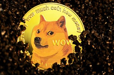dogecoin-gains-as-‘doge-day’-helps-sentiment:-buy-into-the-strength?