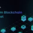 venom-foundation-announces-public-testnet-of-its-l1-blockchain