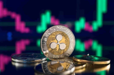 whales-move-ripple-xrp-holdings-as-token-plunges-below-$0.46,-what’s-ahead?