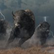 bullish-momentum-expected-for-arb-as-arbitrum-completes-dao-airdrop