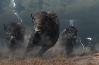 bullish-momentum-expected-for-arb-as-arbitrum-completes-dao-airdrop