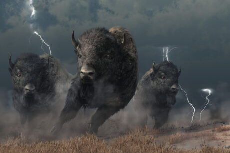 bullish-momentum-expected-for-arb-as-arbitrum-completes-dao-airdrop