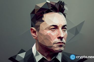 meme-coin-buzz-rocks-crypto-community