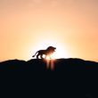 xrp-dominates-the-market:-adv-on-centralized-exchanges-surged-by-46%-in-q1-2023,-report