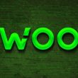 woo-price-surged-by-12%-today:-can-it-hit-$0.3500-soon?