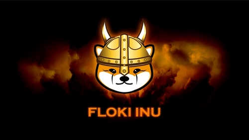 here-is-why-floki-inu’s-price-surged-by-over-50%-today