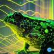 5-reasons-digitoads-is-outperforming-projects-like-aptos-and-hedera
