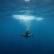 pepe-price-dives-after-whale-transfers-trillions-of-tokens-to-binance