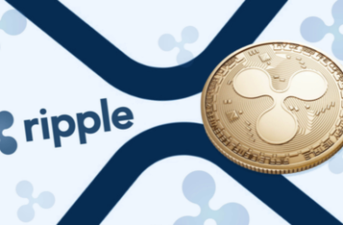 ripple-ceo-rebuts-weblogs-founder’s-claims-that-xrp-is-a-security