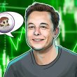 milady-memecoin-surges-5,250%-after-musk-tweet,-exchange-listings