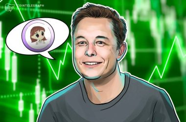 milady-memecoin-surges-5,250%-after-musk-tweet,-exchange-listings