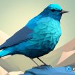 incoming-twitter-ceo,-linda-yaccarino,-follows-shiba-inu,-dogecoin