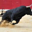 xrp-price-set-to-skyrocket,-expert-predicts-$3.82-target-amidst-bullish-sentiment