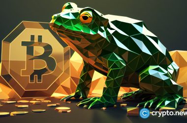 bitcoin-frogs-outpaces-bored-apes-as-the-most-popular-nft