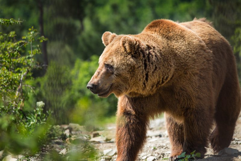no,-bitcoin-has-never-seen-a-bear-market-before-–-this-time-it’s-different