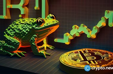 digitoads’-toads-outpaces-ethereum-in-the-ongoing-presale