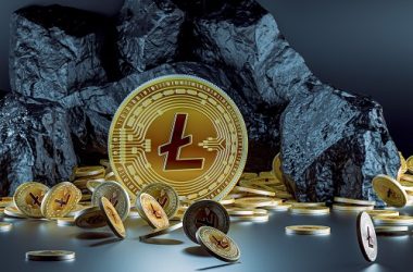 investors-eye-litecoin-and-avalanche-as-bitcoin-leads-outflows
