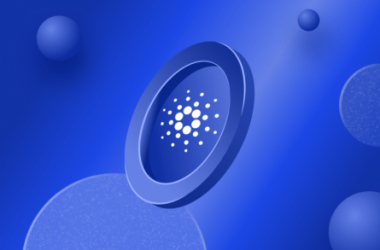 data-suggests-small-holders-will-drive-next-cardano-(ada)-rally