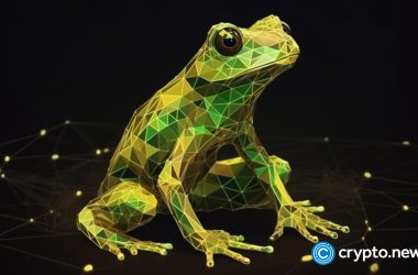 as-pepe-rally-ends,-digitoads-can-become-a-market-leader