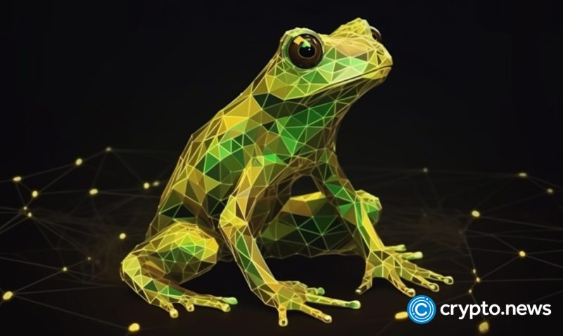 as-pepe-rally-ends,-digitoads-can-become-a-market-leader