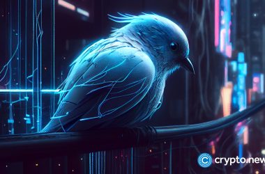 sandbox-ceo’s-twitter-account-hacked-to-promote-fake-airdrop