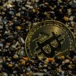 solo-bitcoin-miner-beats-the-odds-to-win-6.25-btc-block-reward