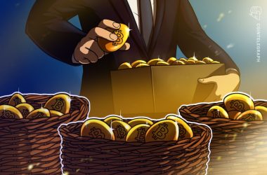 ‘bitcoin-only’-buy-and-hold-investment-strategy-outperforms-altcoins-over-the-long-term-—-analysis-shows