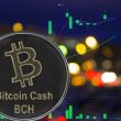 here’s-why-the-bitcoin-cash-(bch)-price-has-just-gone-parabolic
