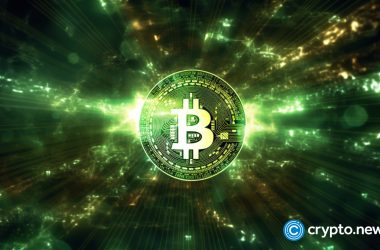 damus-crypto-tipping-app-reports-guideline-abuse-after-clarifying-no-content-is-sold
