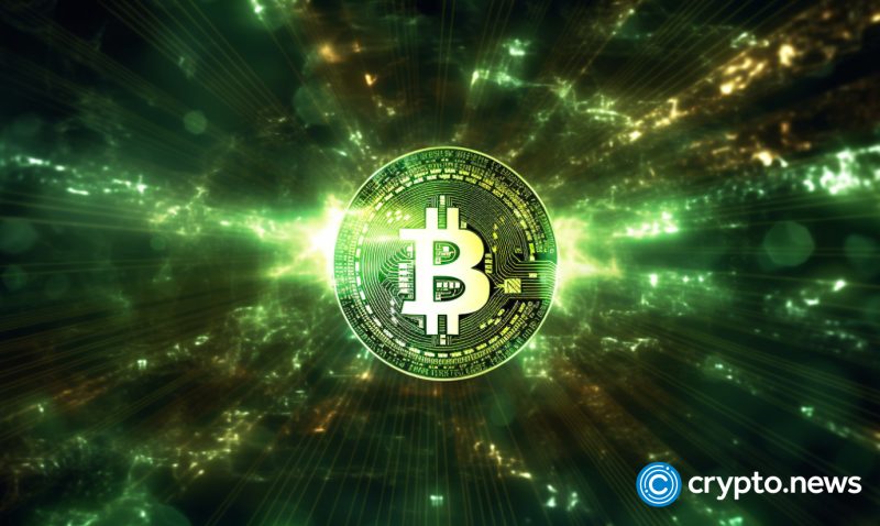 damus-crypto-tipping-app-reports-guideline-abuse-after-clarifying-no-content-is-sold