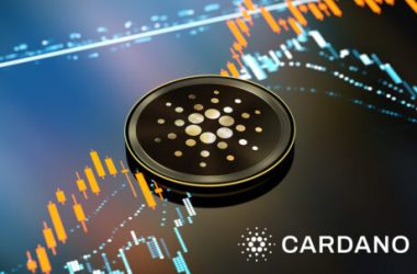 cardano-(ada)-is-outperforming-previous-bear-cycle,-reveals-itc-crypto-ceo