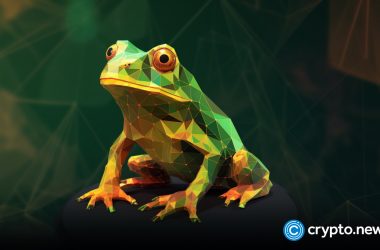 while-pepe-and-floki-hype-settles,-more-investors-are-joining-digitoads